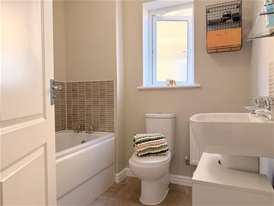 Picture 15